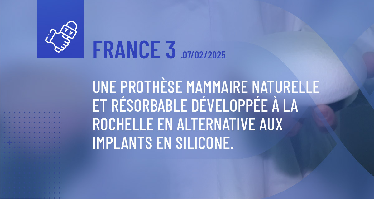 2 implants mammaire, en silicone et en peau de cochon entièrement naturel